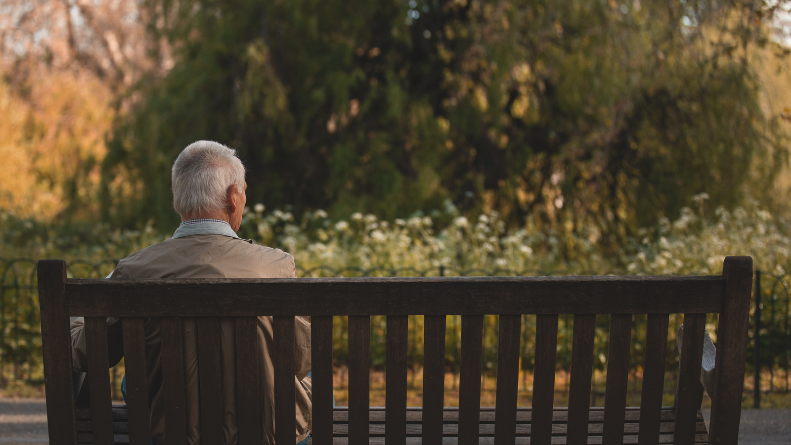 An older man on a park bench