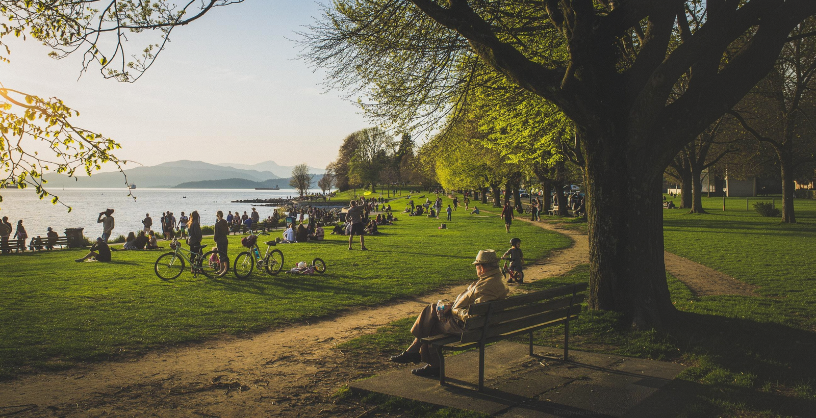 A park at golden hour